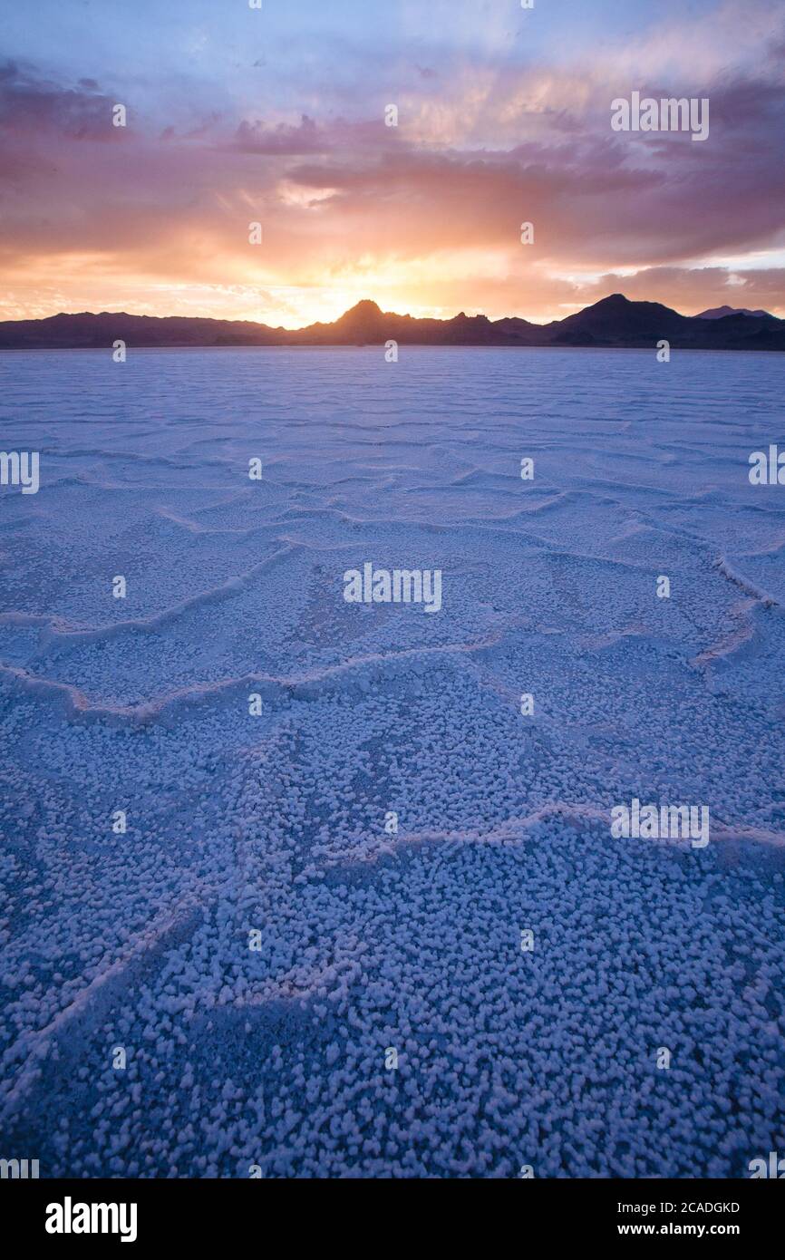 Salt Flat Formations at Bonneville Salt Flats (Sunset) Stock Photo