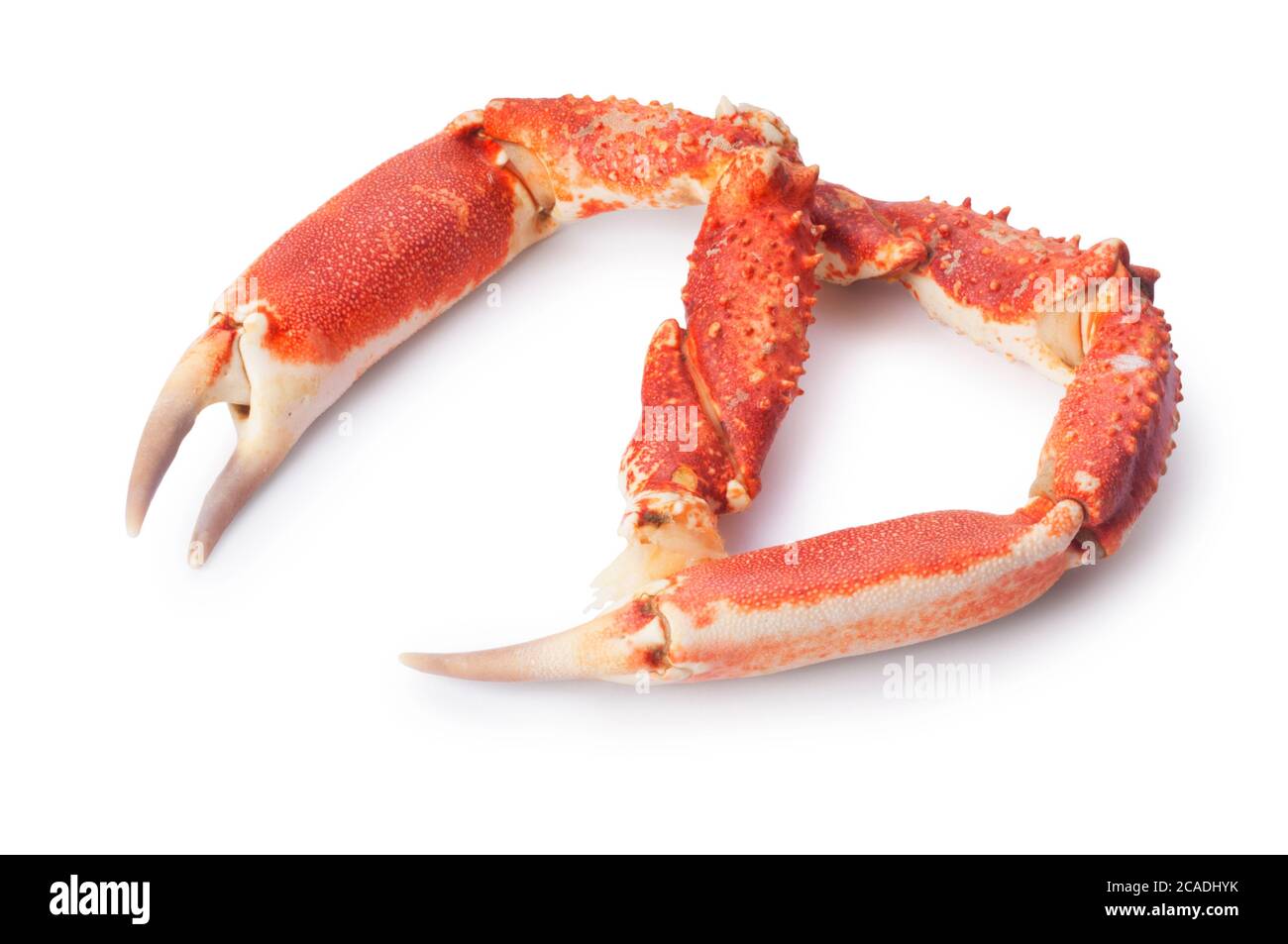 Spider crab claws Cut Out Stock Images & Pictures - Alamy