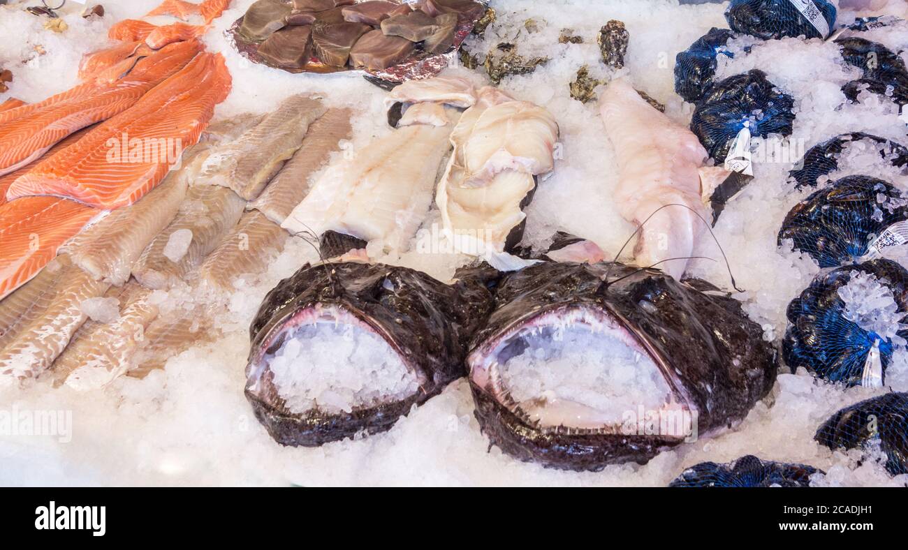 fish market in Bergen Norway with a lot of fresh fish, salmon, monkfish