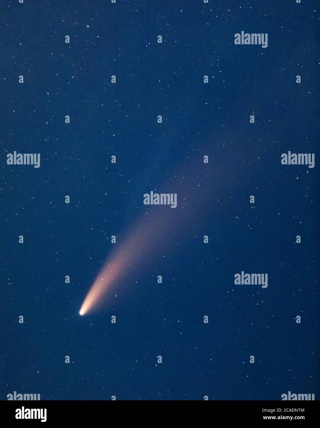 Fly By Rock, ice, and dust comet NEOWISE shows off its two tails