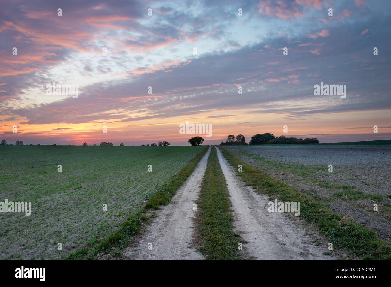 Coloured clouds during sunset over dirt road through fields Stock Photo