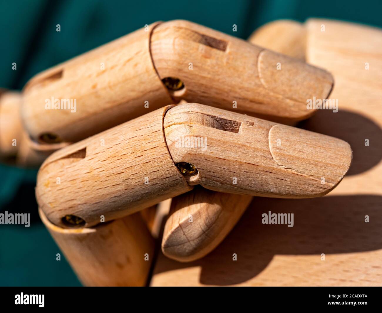 Wooden mannequin hand close-up, showing fingers and thumb on green background Stock Photo