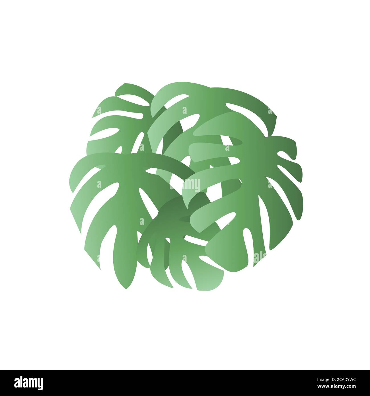 Monstera leaves poster. Palm tree leaf vector illustration Stock Vector