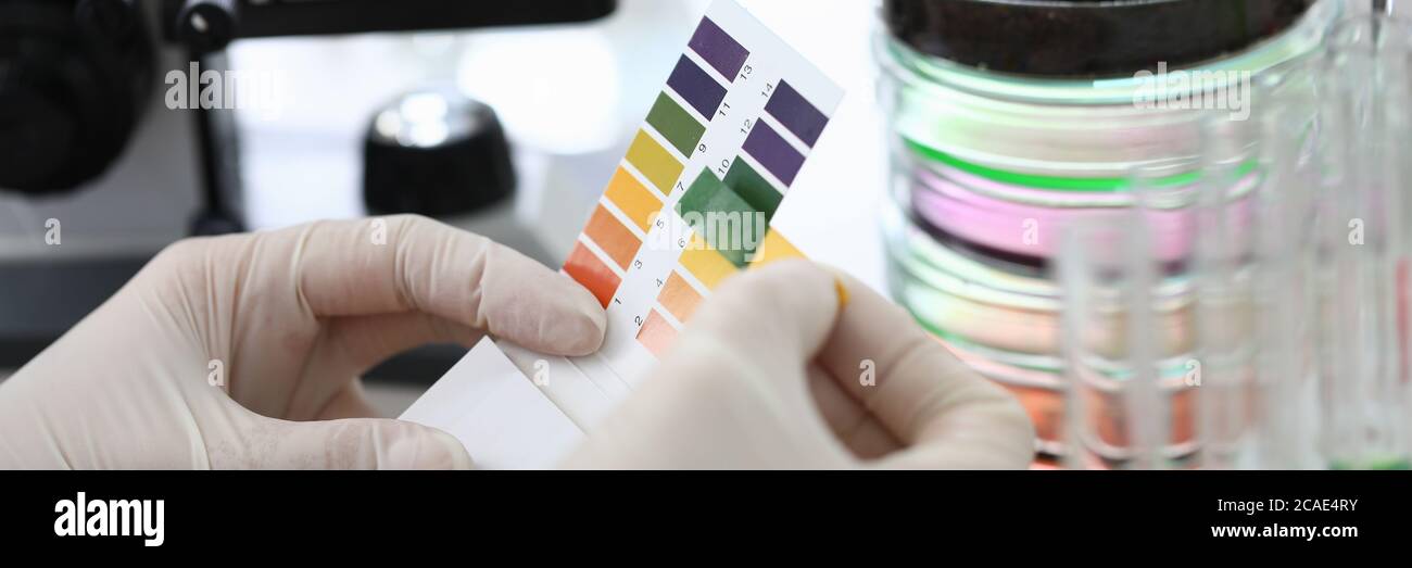 Gloved hands holding paper to test soil acidity Stock Photo