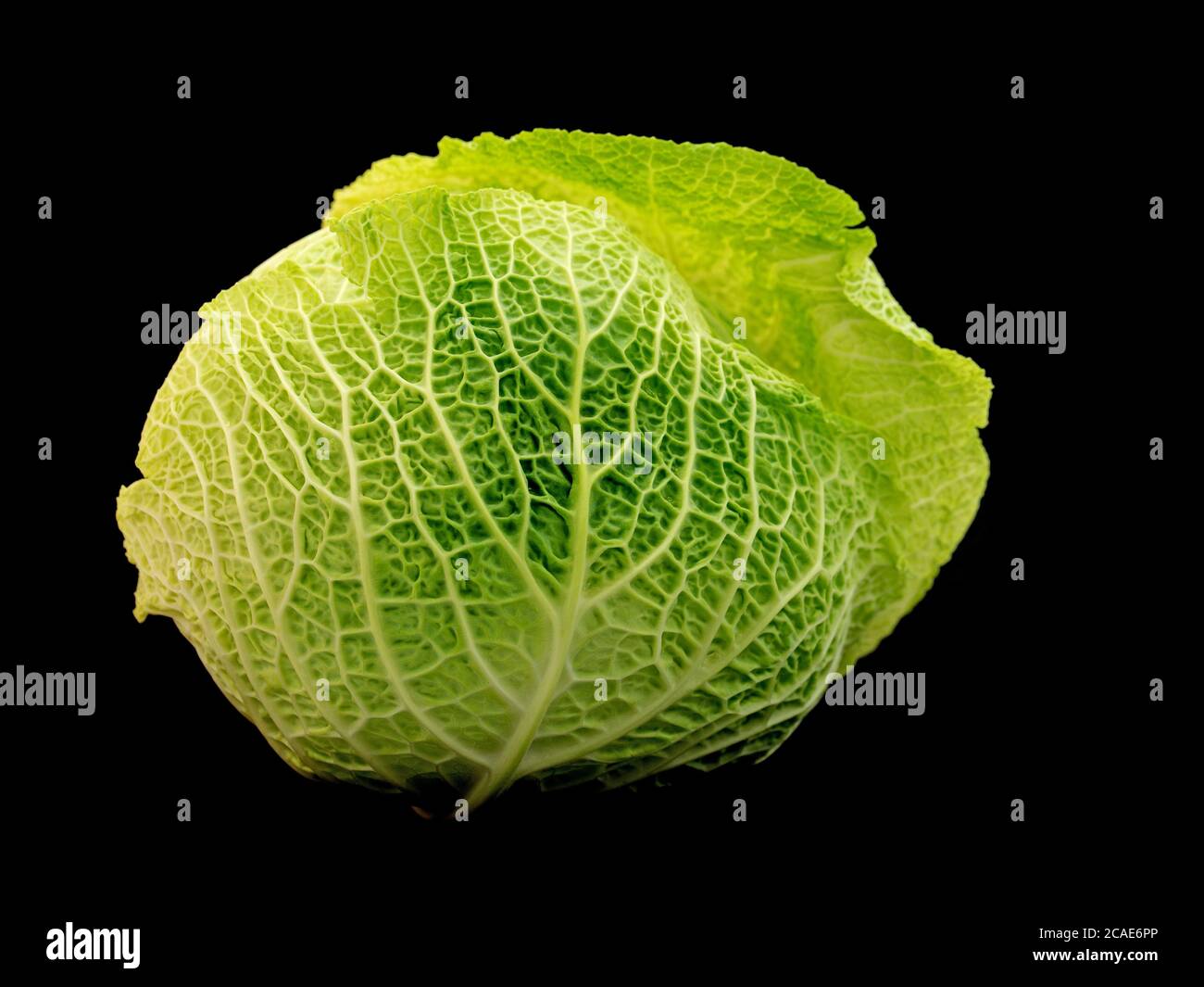 Savoy cabbage isolated against a black background Stock Photo