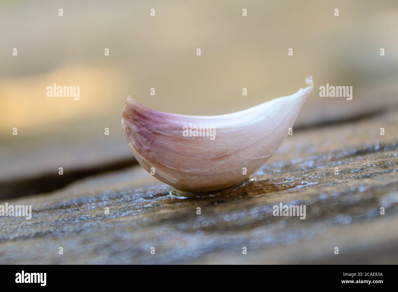 Garlic clove on a wooden table closeup Stock Photo