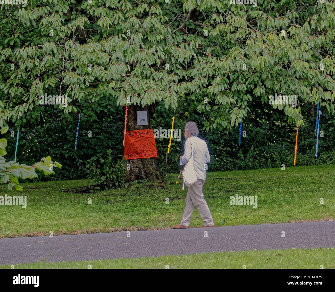 Glasgow, Scotland, UK 6th  August, 2020: Hiroshima 75 years war protest memorial popped up in the west end of the city in kelvingrove park comprising of a tree that has information on an a4 sheet with a cloth design wrapped around its trunk and origami paper fruit hanging from its branches. Credit: Gerard Ferry/Alamy Live News Stock Photo