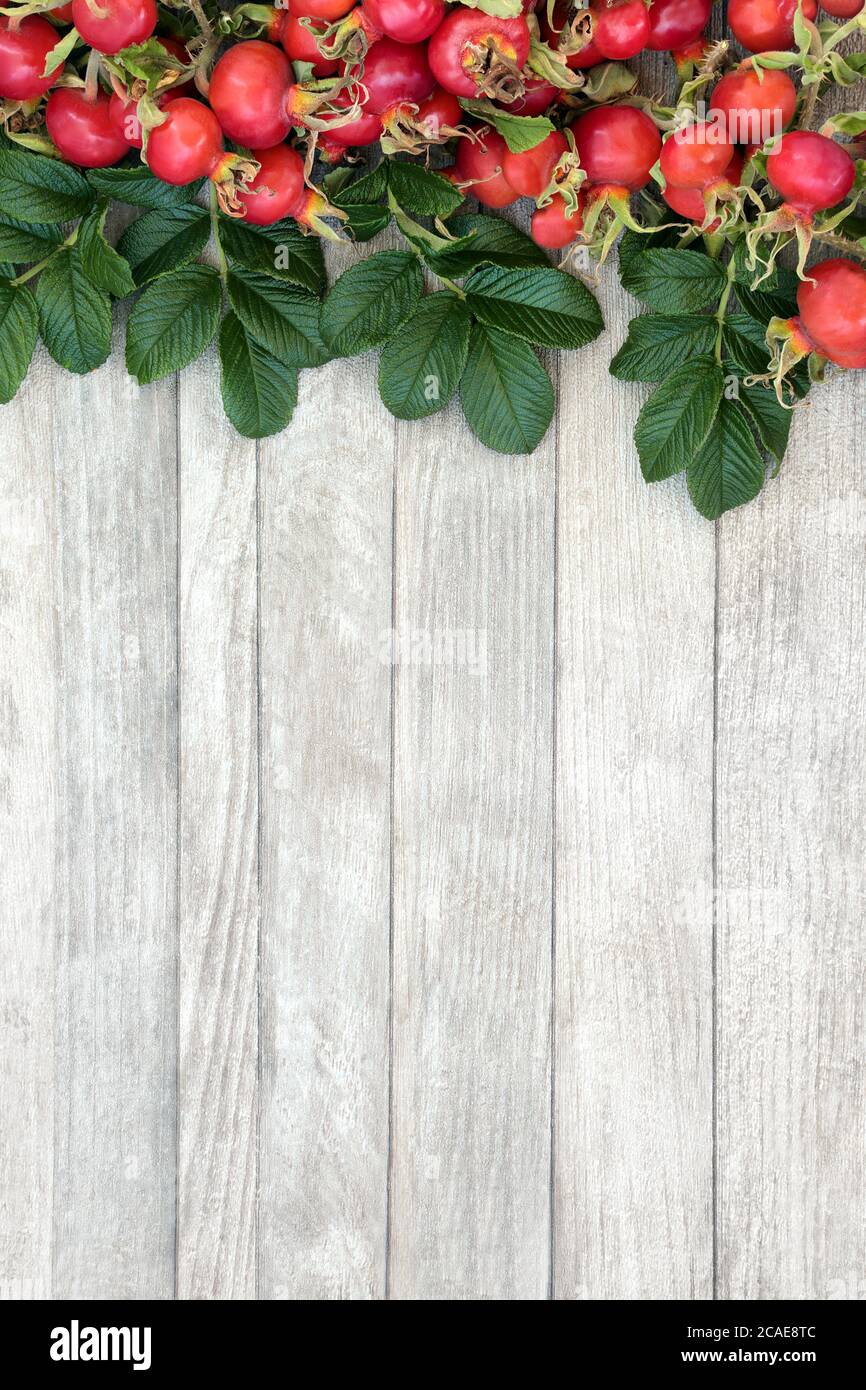 Rosehip berry health food background border on rustic wood with copy space. Rose rugosa. Stock Photo