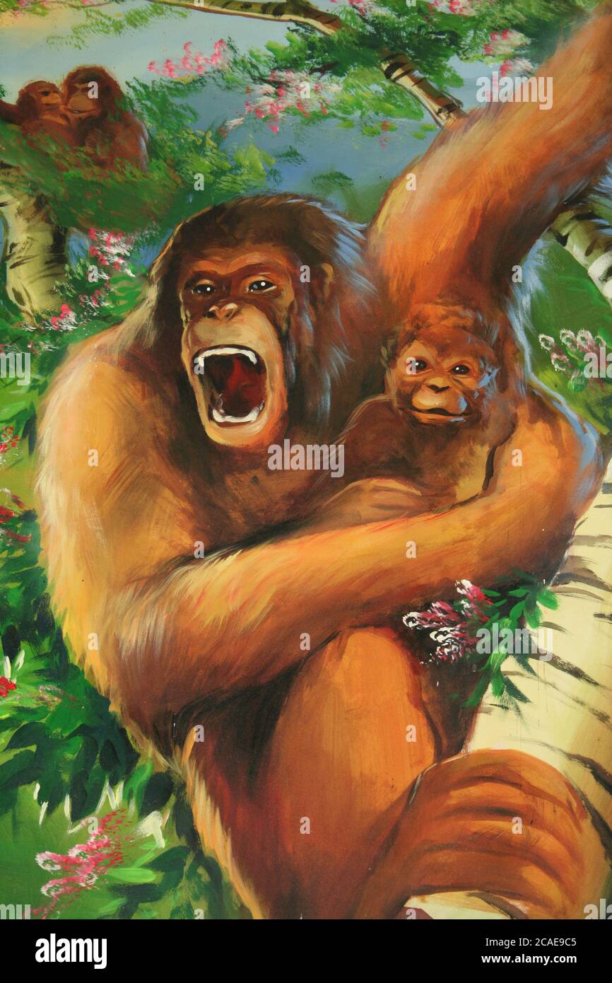Sumatran Orangutan Pongo abelii Art Stock Photo