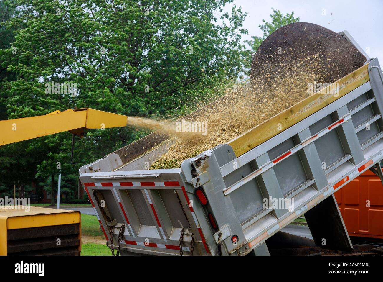 A wood chipper at work machinery, wood shredder placed in the intake chute for chipping after an unexpected hurricane storm Stock Photo
