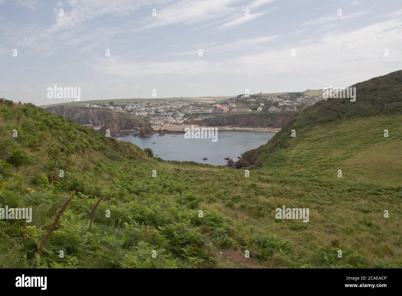 Hope Cove through the ferns Stock Photo