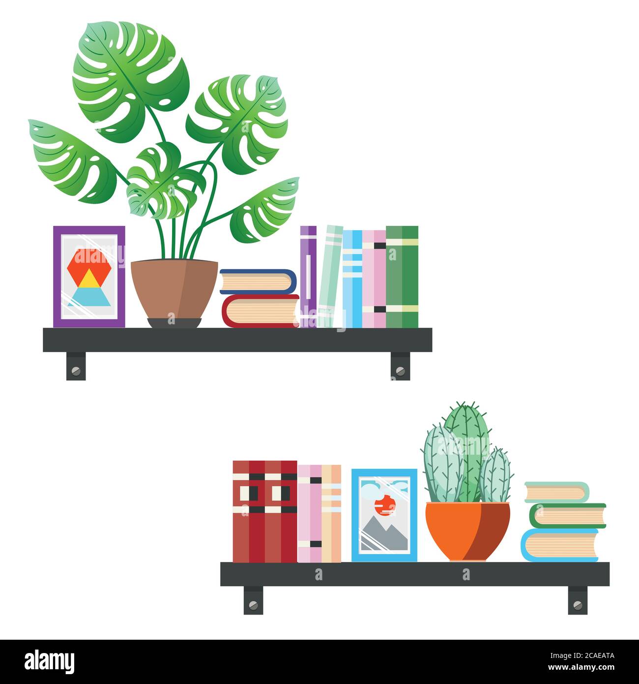 Abstract bookshelf with books and house plants illustration Stock