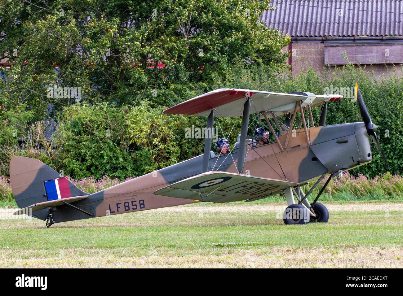 De havilland dh 82 queen bee hi-res stock photography and images - Alamy