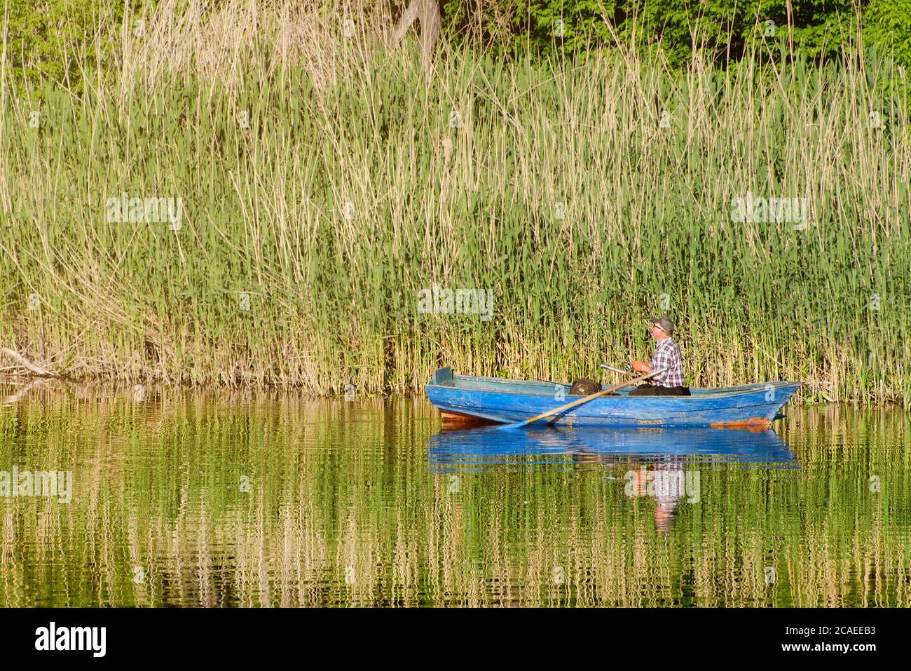 Man fishing in blue boat against a reed background Stock Photo - Alamy