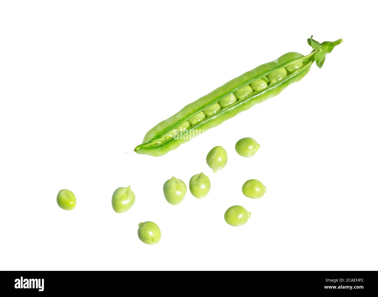 Fresh green pea pod with beans isolated on white background. Sweet pea in close up. Stock Photo