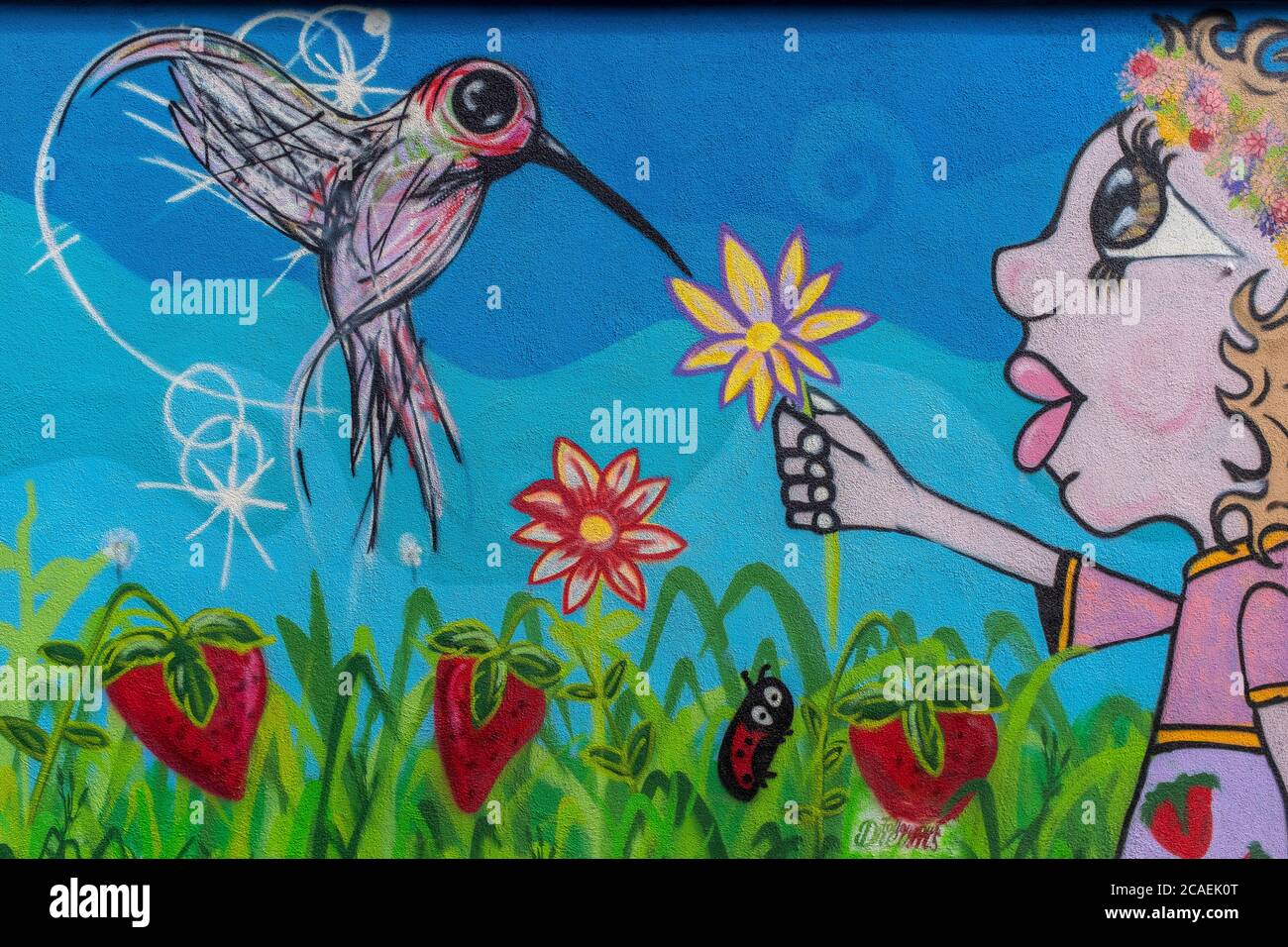 street art in Albuquerque, New Mexico : 'Follow Your Dreams' Stock Photo