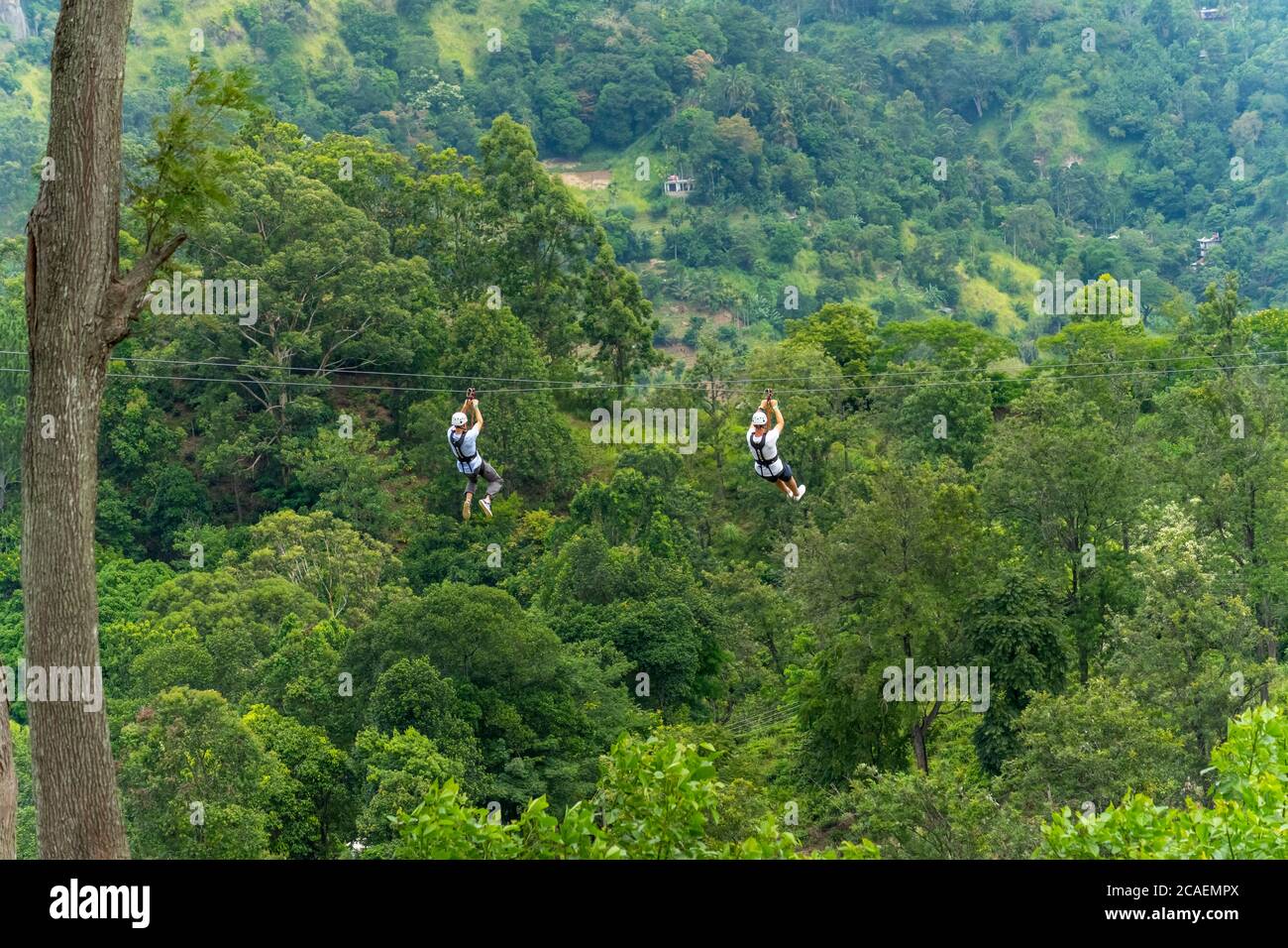 Men going on a zipline in the jungle. tree climbing in Sri Lanka. adventure , challenge and sport concept Stock Photo