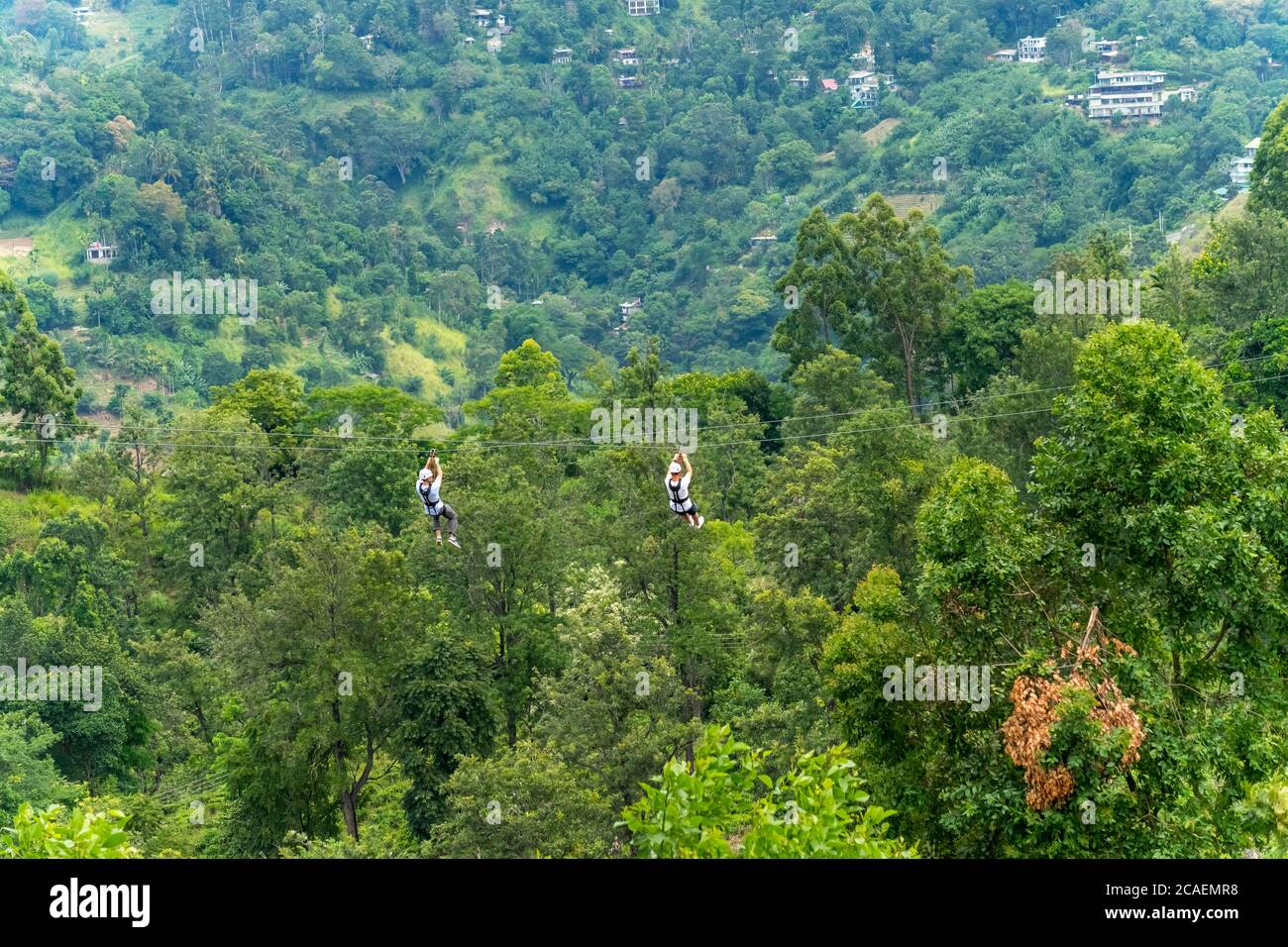 Men going on a zipline in the jungle. tree climbing in Sri Lanka. adventure , challenge and sport concept Stock Photo