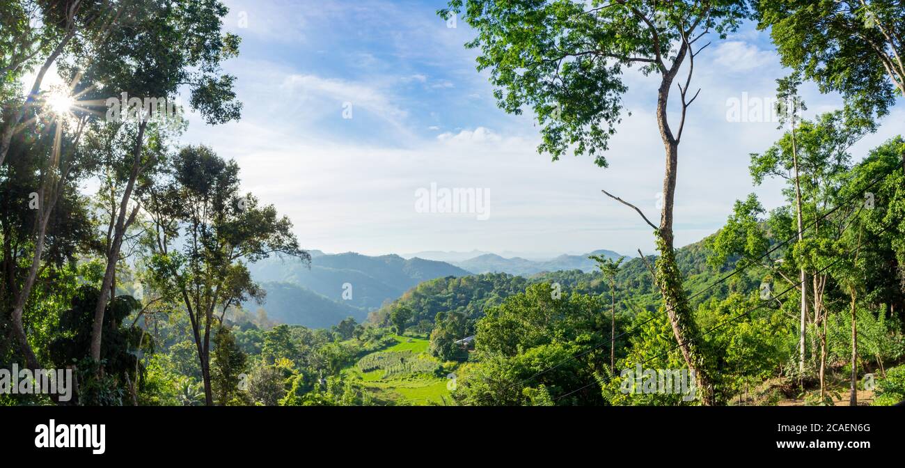 Panoramic view of green forest in the morning, Ella, Sri Lanka. Sunstar in the blue sky Stock Photo