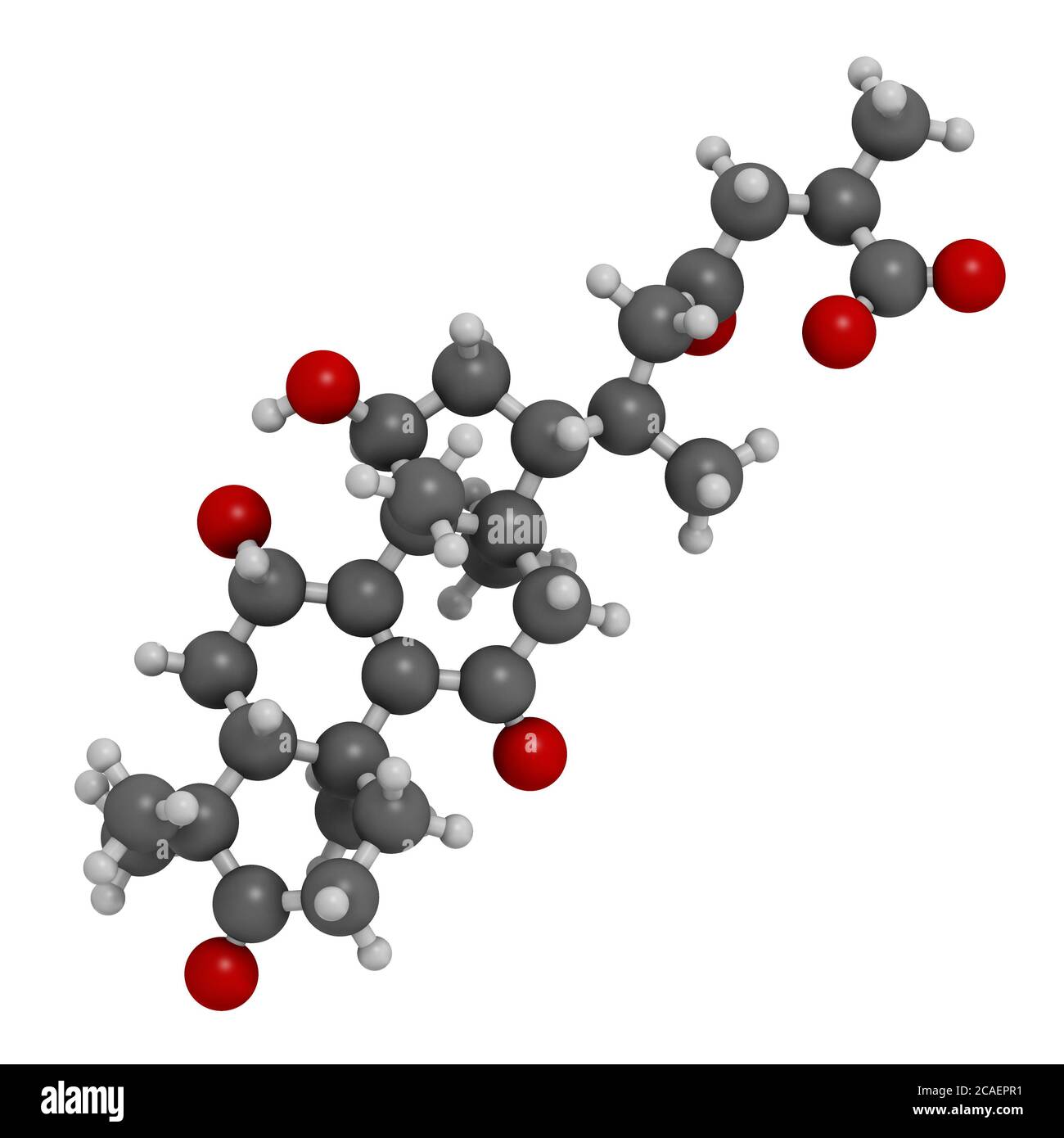 Ganoderic Acid R Ganoderic acid A molecule. Present in Ganoderma mushrooms. 3D rendering ...