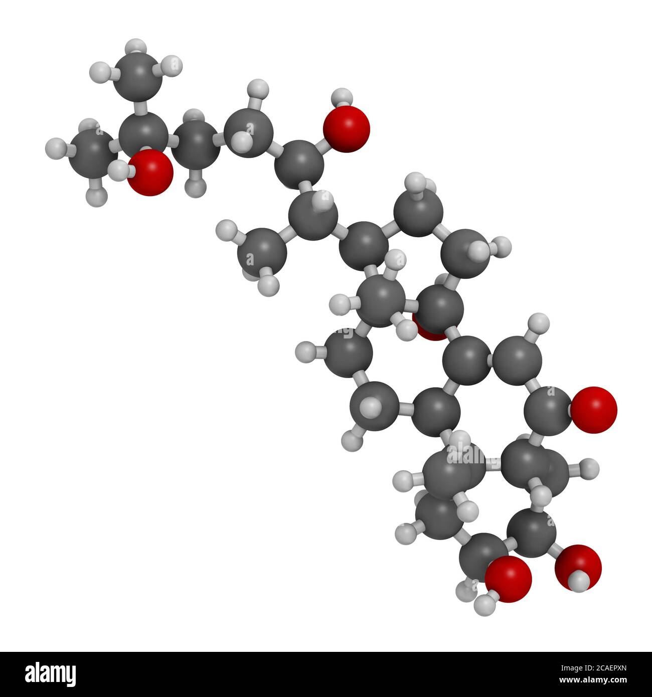 Ecdysone insect molting prohormone. 3D rendering. Atoms are represented as spheres with conventional color coding: hydrogen (white), carbon (grey), ox Stock Photo