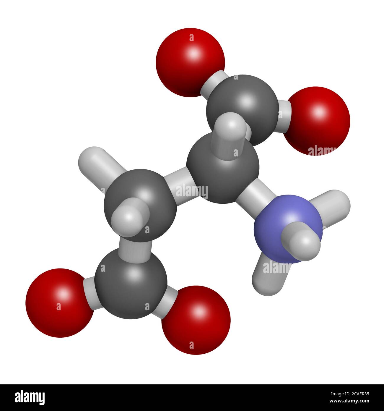 D-aspartic acid (D-aspartate) amino acid molecule. 3D rendering. Atoms ...