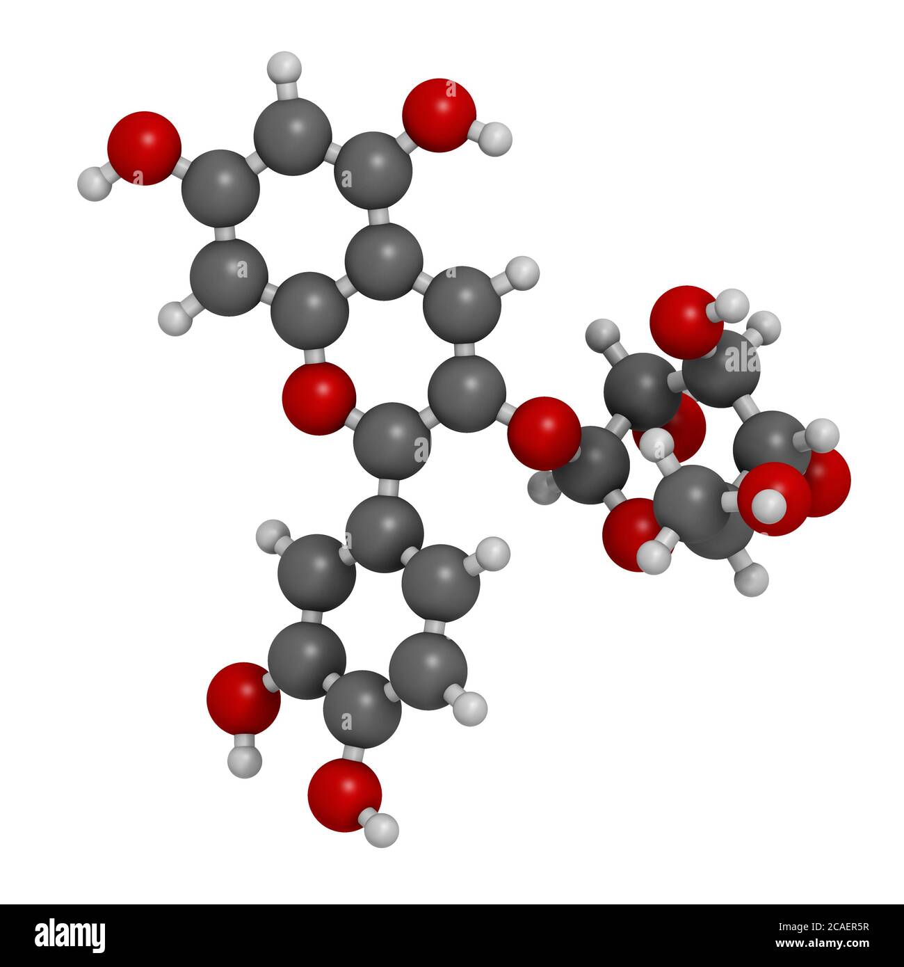 Chrysanthemin plant pigment molecule. 3D rendering. Atoms are represented as spheres with