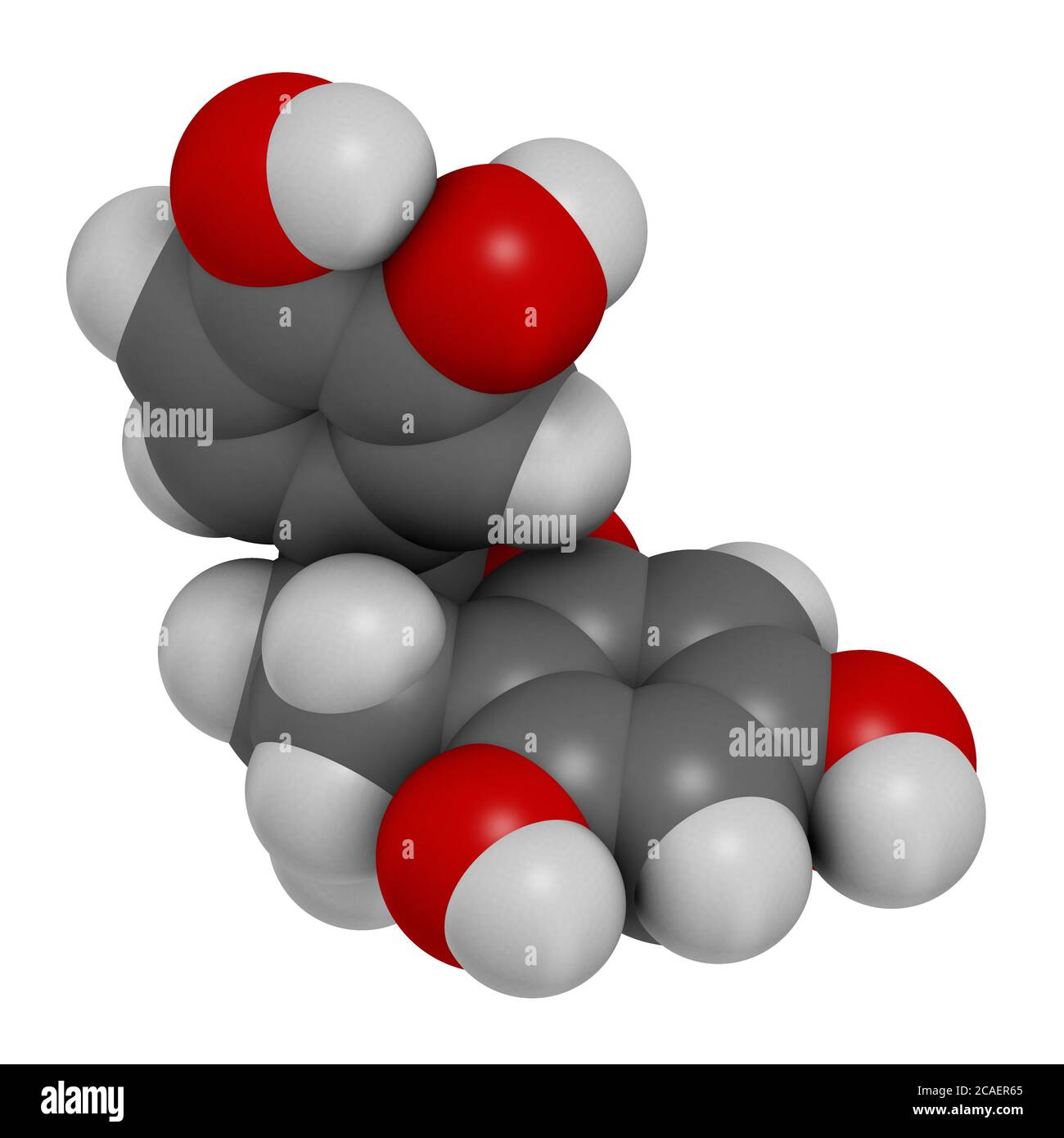 Catechin herbal antioxidant molecule. 3D rendering. Atoms are represented as spheres with conventional color coding: hydrogen (white), carbon (grey), Stock Photo