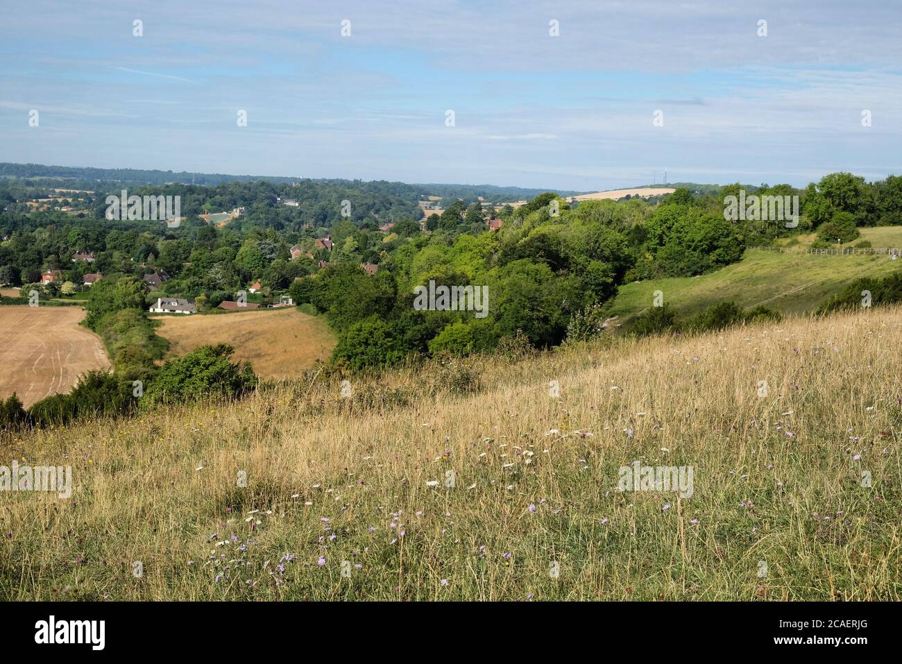 Pewley Down in Guildford, Surrey, part of the North Downs Way. Stock Photo