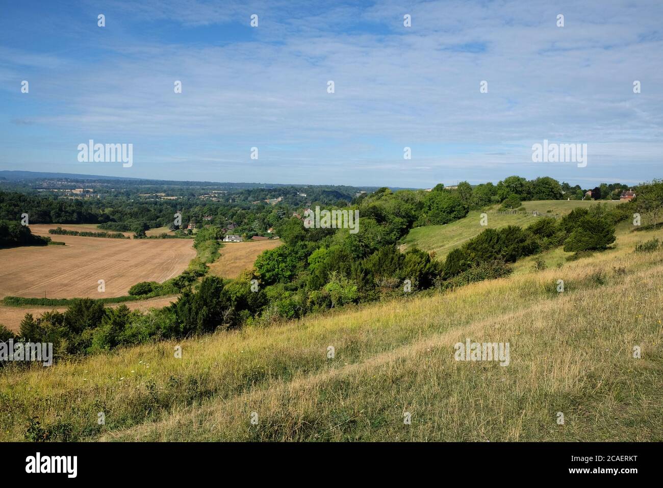 Pewley Down in Guildford, Surrey, part of the North Downs Way. Stock Photo