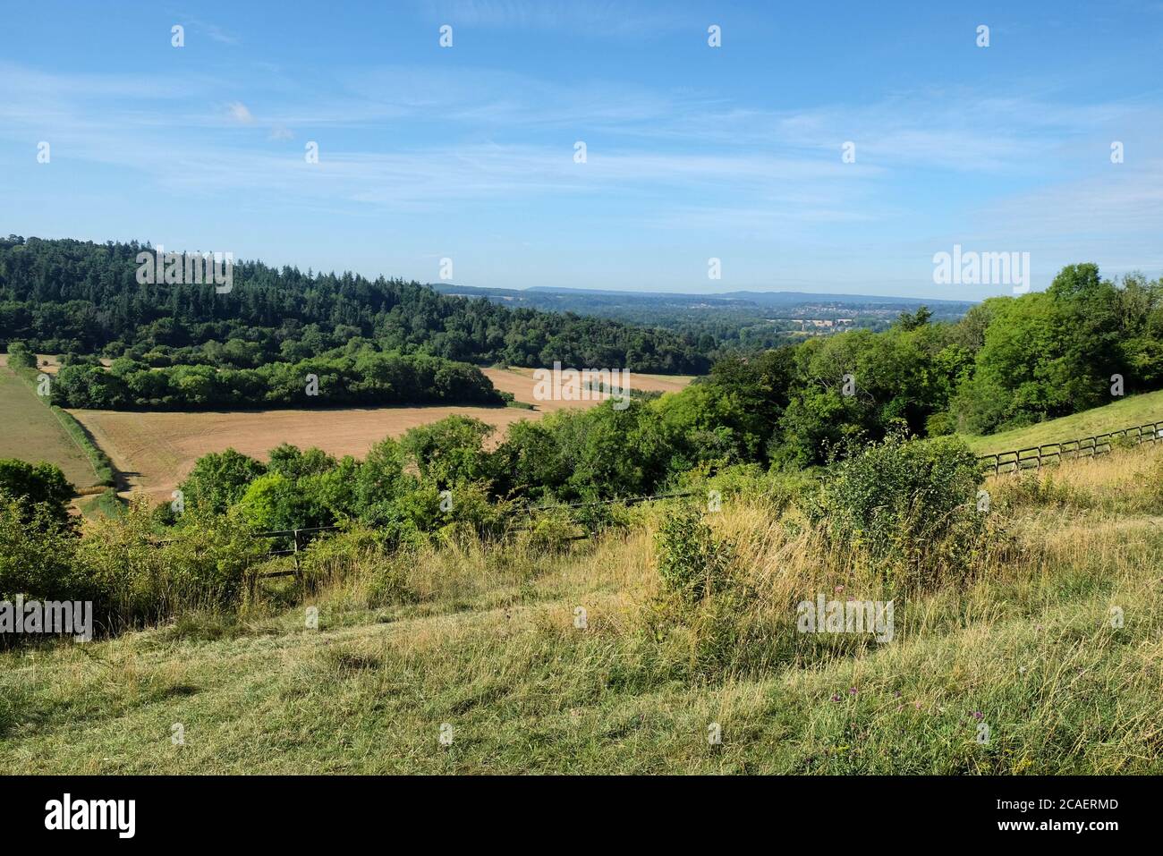 Pewley Down in Guildford, Surrey, part of the North Downs Way. Stock Photo