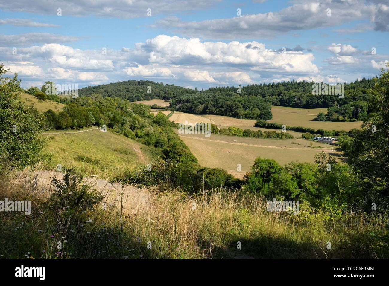 Pewley Down in Guildford, Surrey, part of the North Downs Way. Stock Photo