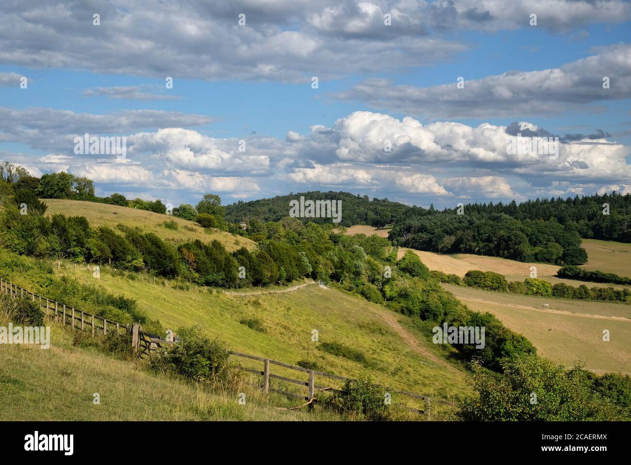 Pewley Down in Guildford, Surrey, part of the North Downs Way. Stock Photo