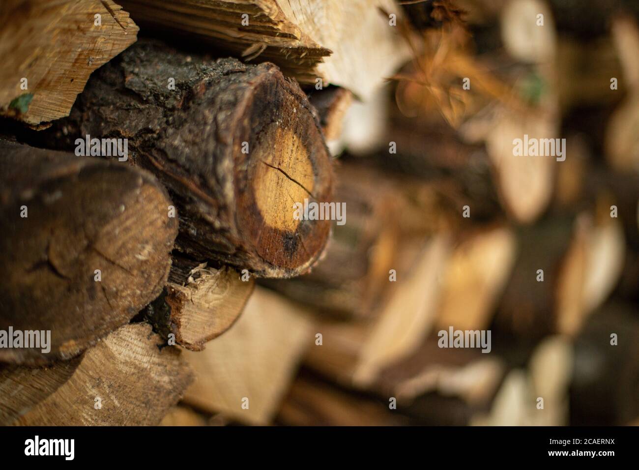 Cut firewood stuck on each other in the firewood rack Stock Photo