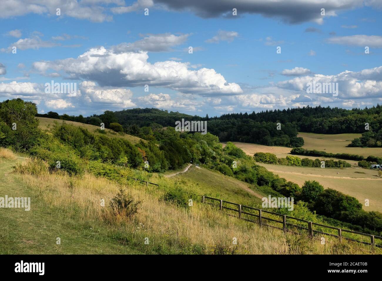 Pewley Down in Guildford, Surrey, part of the North Downs Way. Stock Photo