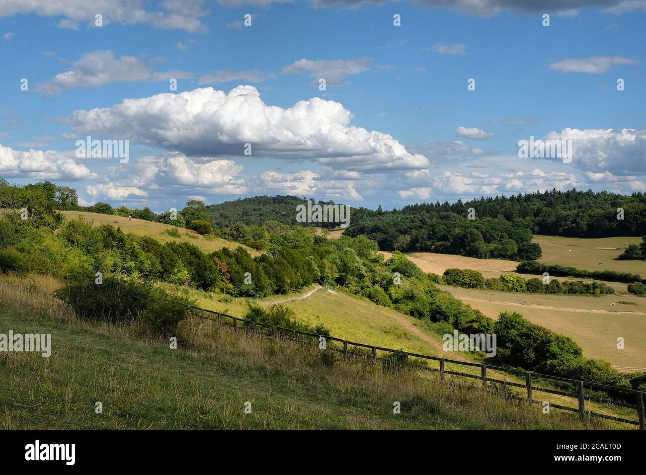 Pewley Down in Guildford, Surrey, part of the North Downs Way. Stock Photo