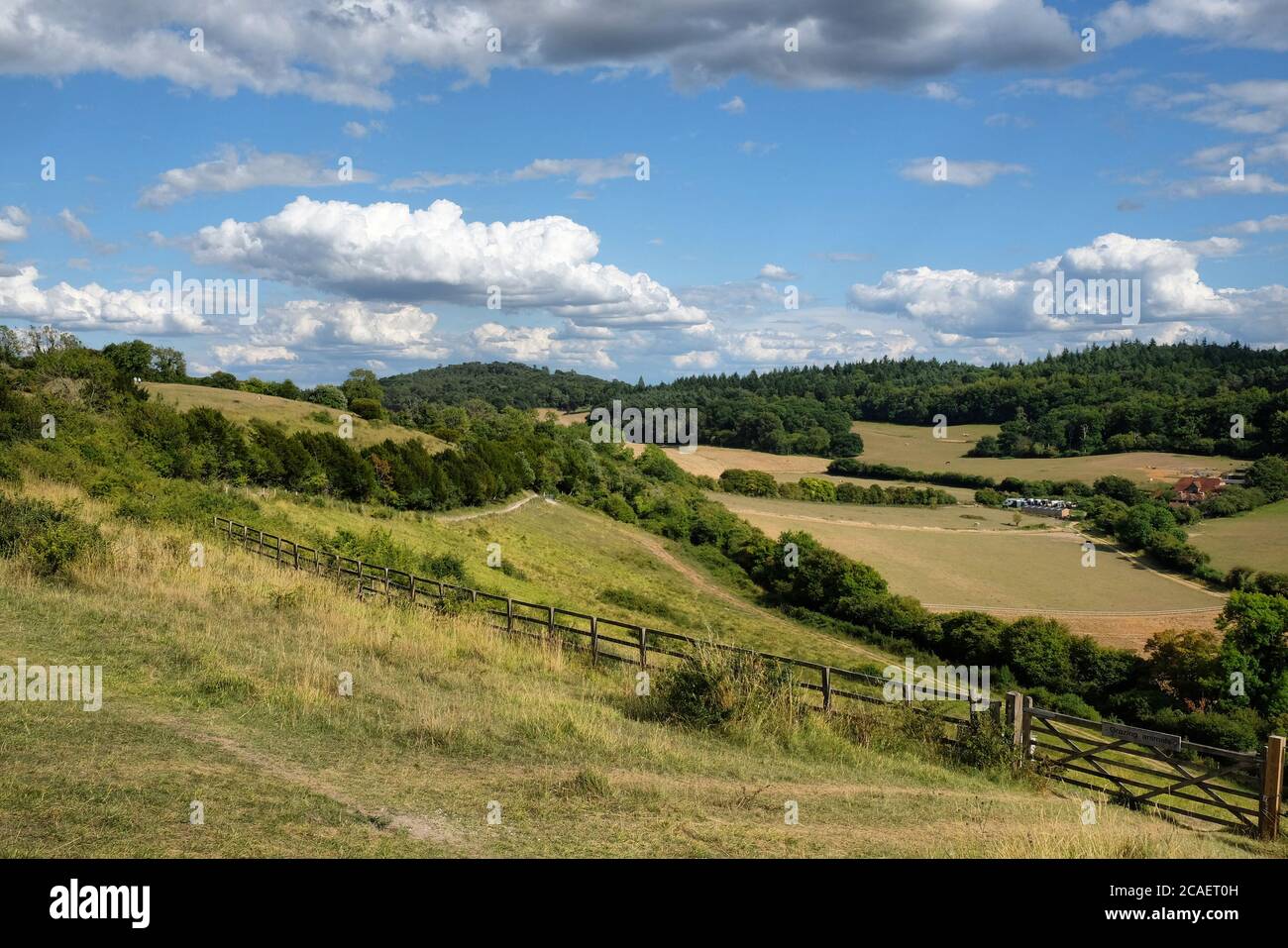Pewley Down in Guildford, Surrey, part of the North Downs Way. Stock Photo