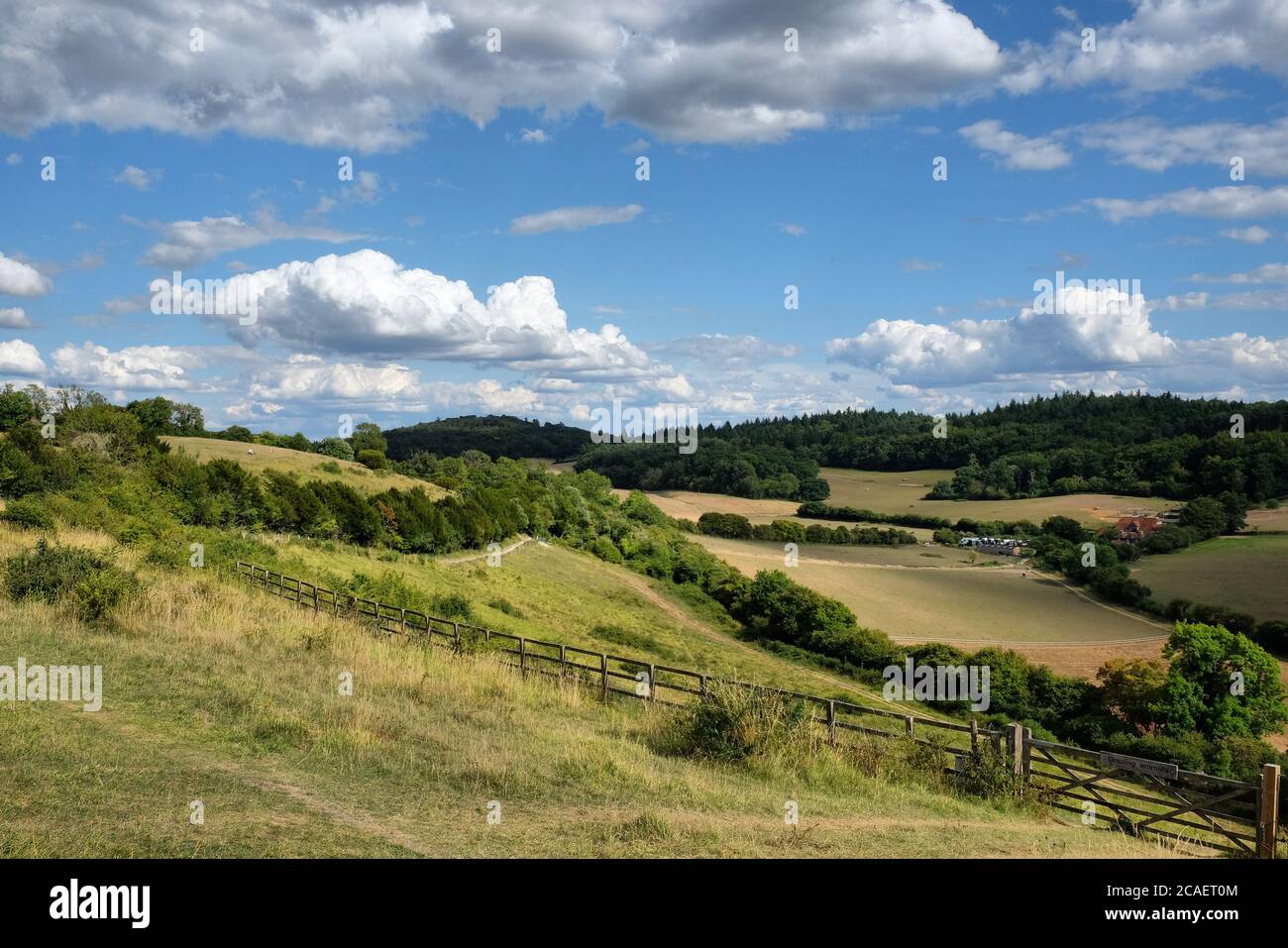 Pewley Down in Guildford, Surrey, part of the North Downs Way. Stock Photo