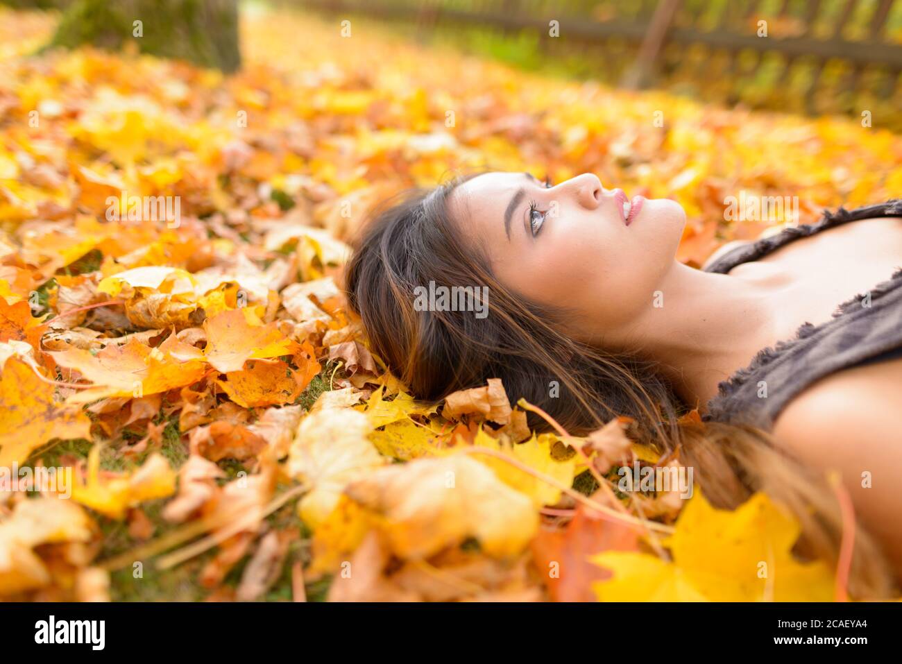 Focus of young beautiful Asian woman looking up while lying down on yellow autumn leaves Stock Photo