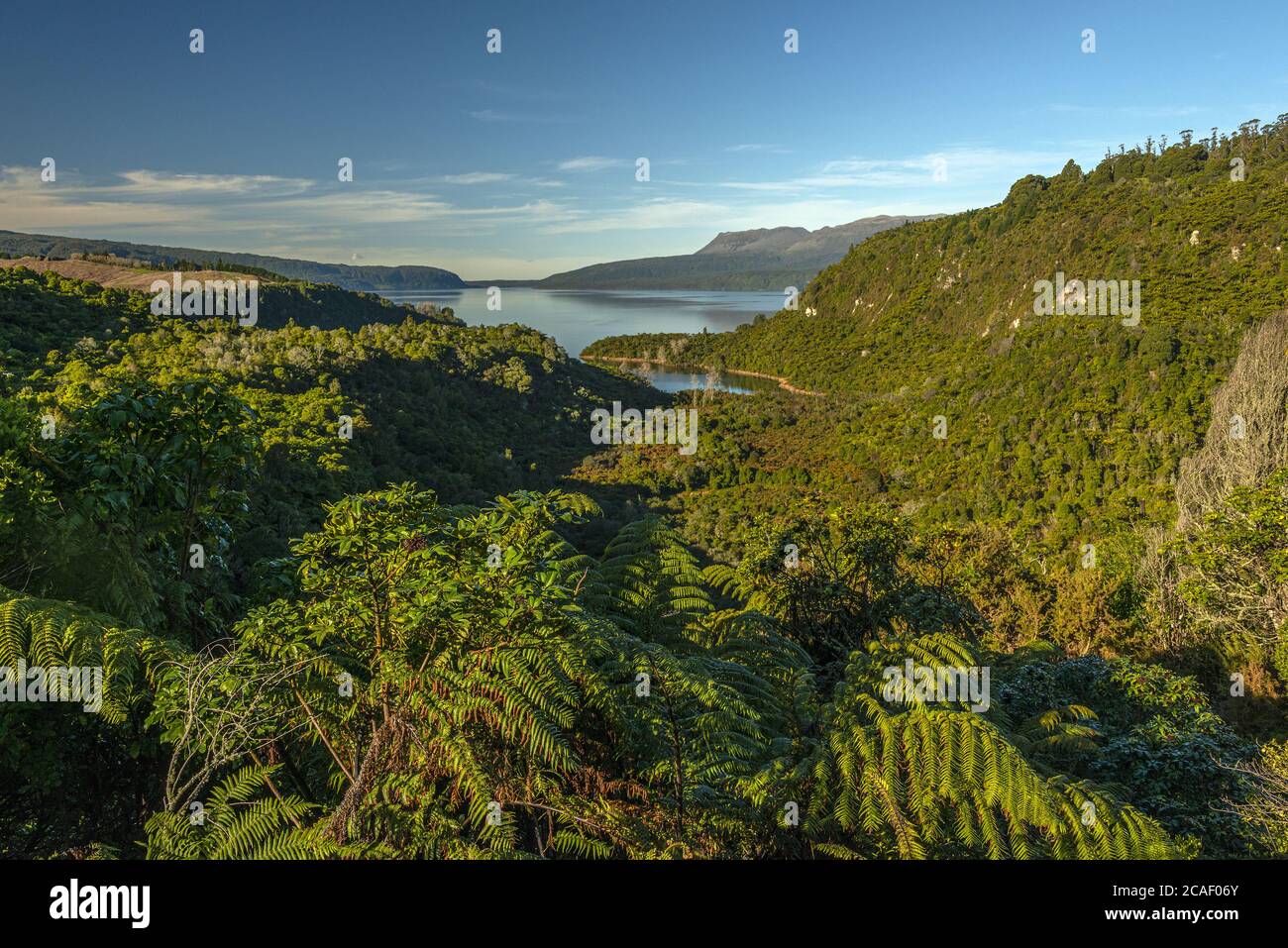The crater lake and volcanic cone of the 1800's Mt Tawawera eruption in New Zealand's volcanic plateau. Stock Photo