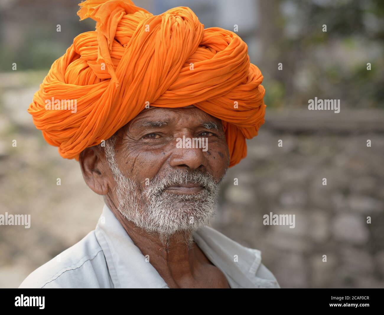 Elderly Indian Rajasthani man with orange turban (pagari) poses for the camera. Stock Photo