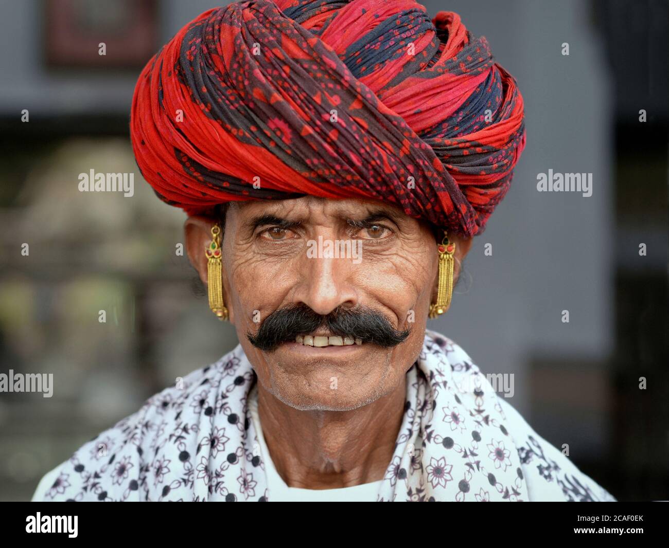 Indian Rajasthani man with black moustache, red-and-black turban and gold earrings poses for the camera. Stock Photo
