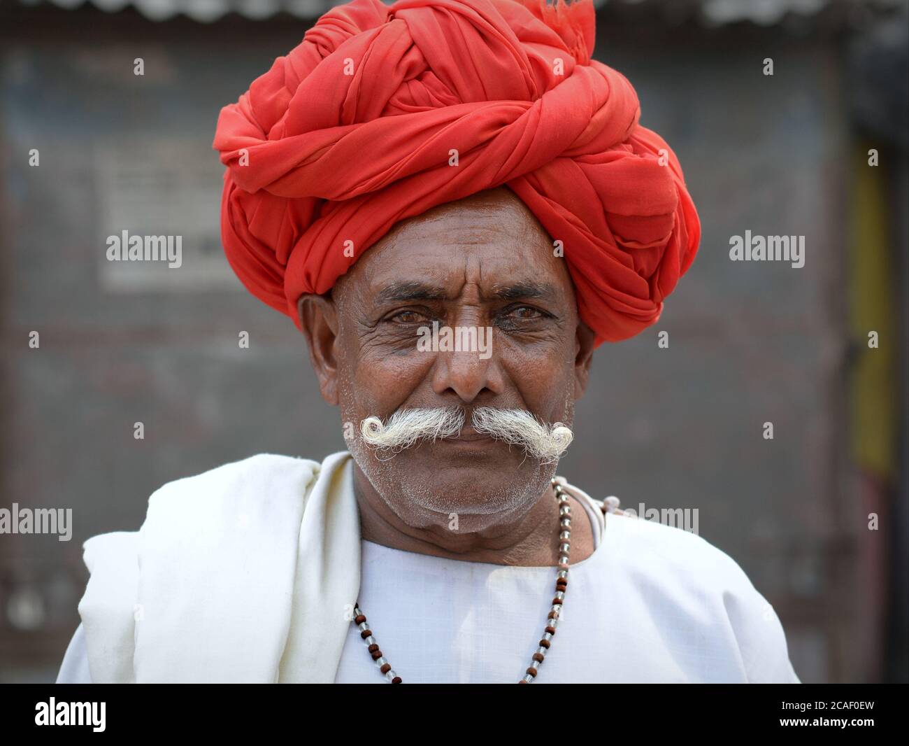 Elderly Indian Rajasthani man with red turban and big moustache poses for the camera. Stock Photo