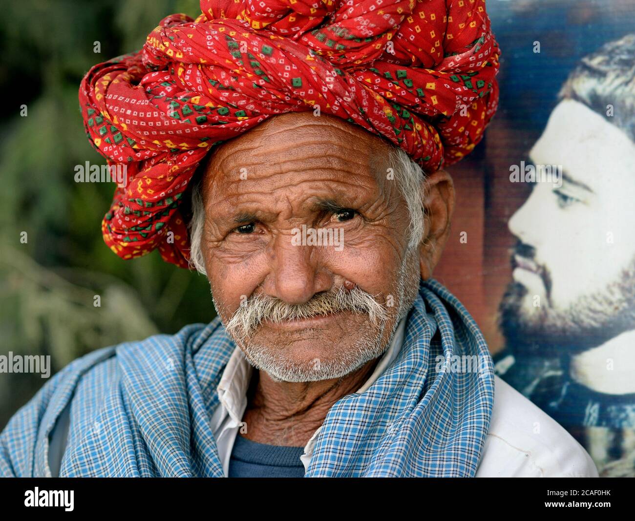 Old Indian Rajasthani man with moustache wears a colourful Rajasthani turban (pagari) and looks at the camera. Stock Photo