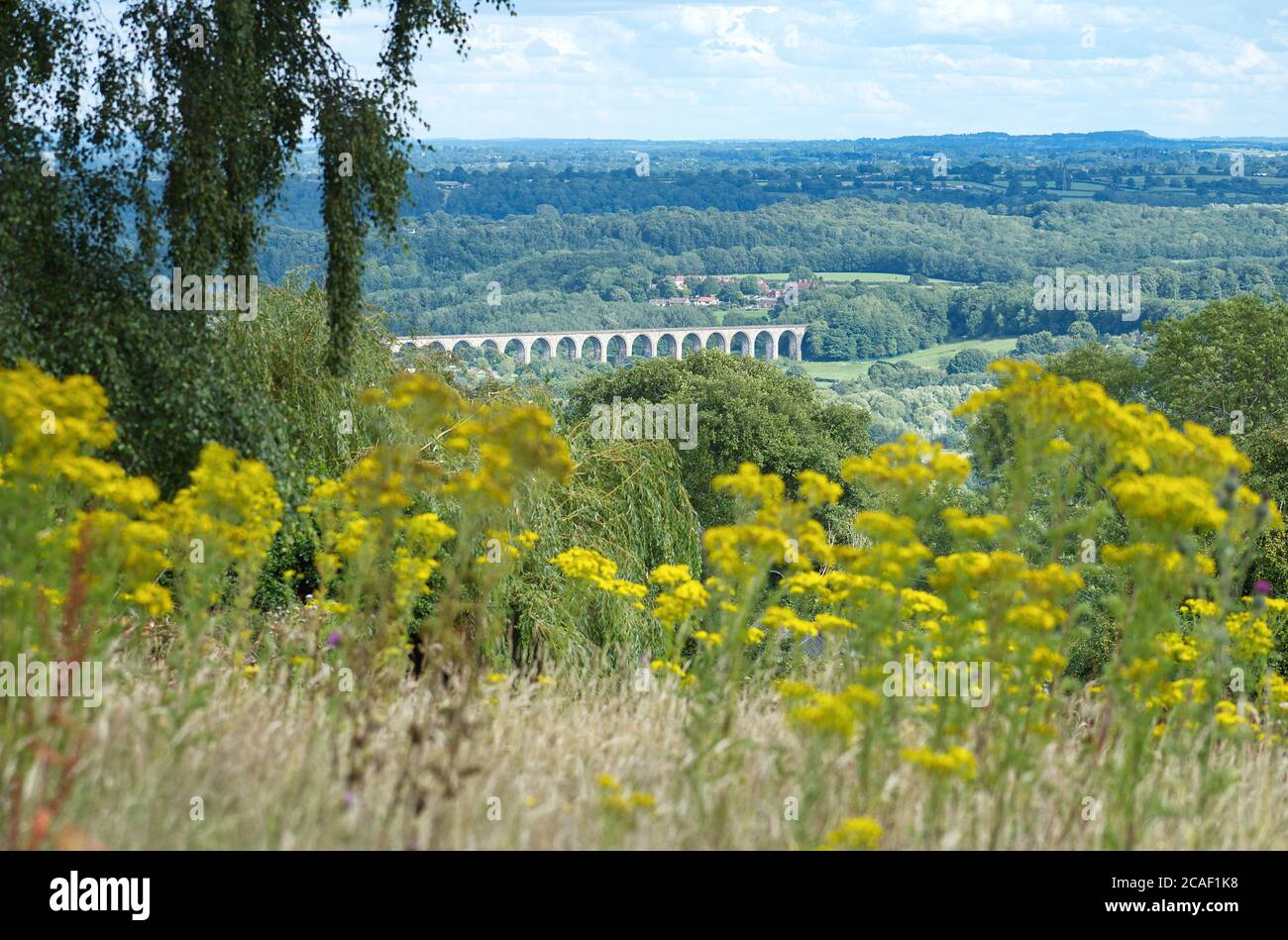 View of Cefn Mawr Viaduct which carries the Chester and Shrewsbury railway over the River Dee between Newbridge and Cefn-Bychan. Stock Photo