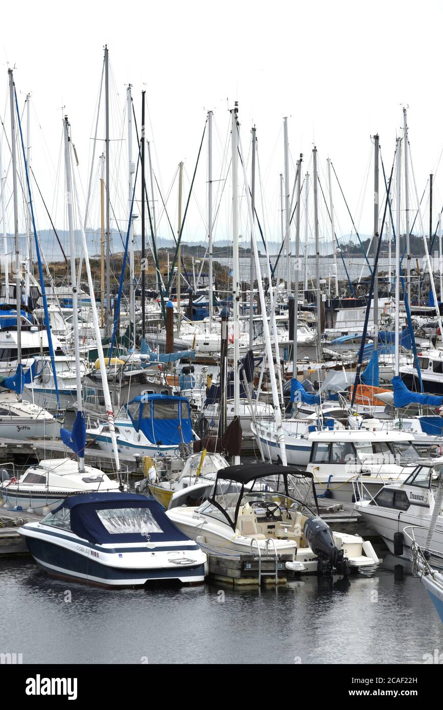 The docks at the Oak Bay Marina in Oak Bay, British Columbia on