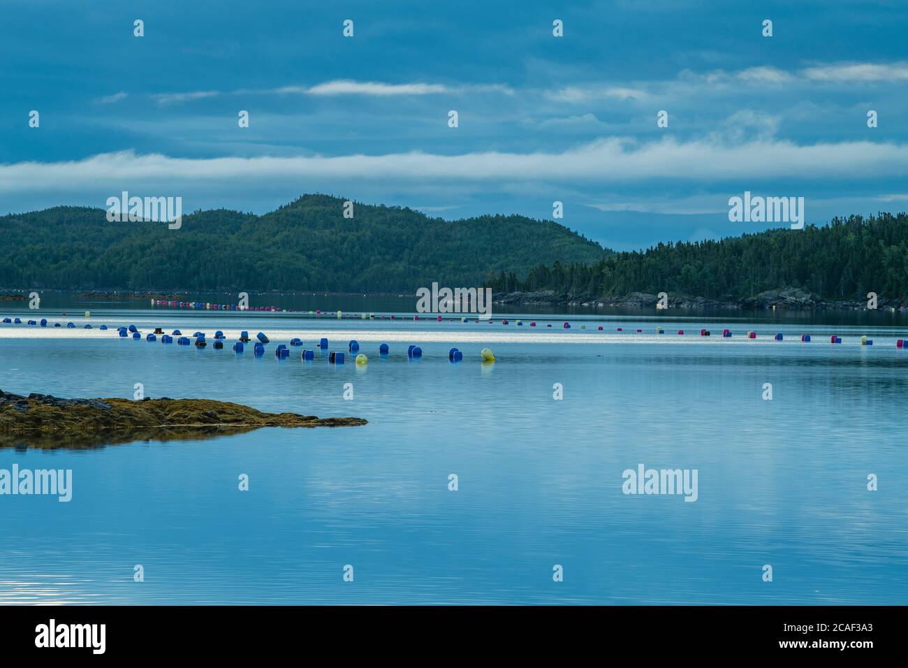 Mussel farm buoys, Pilley's Island causeway, Newfoundland and Labrador