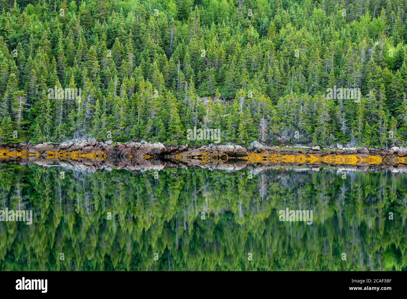 Pilleys island causeway hires stock photography and images Alamy