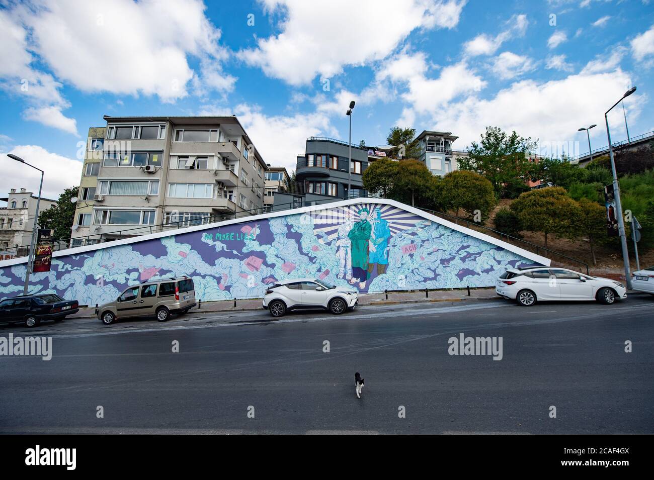 Istanbul, Turkey. 6th Aug, 2020. A giant mural painting dedicated to healthcare workers is seen in the Besiktas district in Istanbul, Turkey, on Aug. 6, 2020. A Turkish street artist, in Turkey's most populous city Istanbul, has dedicated a giant mural painting to healthcare workers who have been fighting the COVID-19 pandemic. The artist, known as No More Lies, created his art over a 46-meter-long and 6-meter high wall in the Ortakoy neighborhood in the Besiktas district, local authorities told Xinhua on Thursday. Credit: Yasin Akgul/Xinhua/Alamy Live News Stock Photo