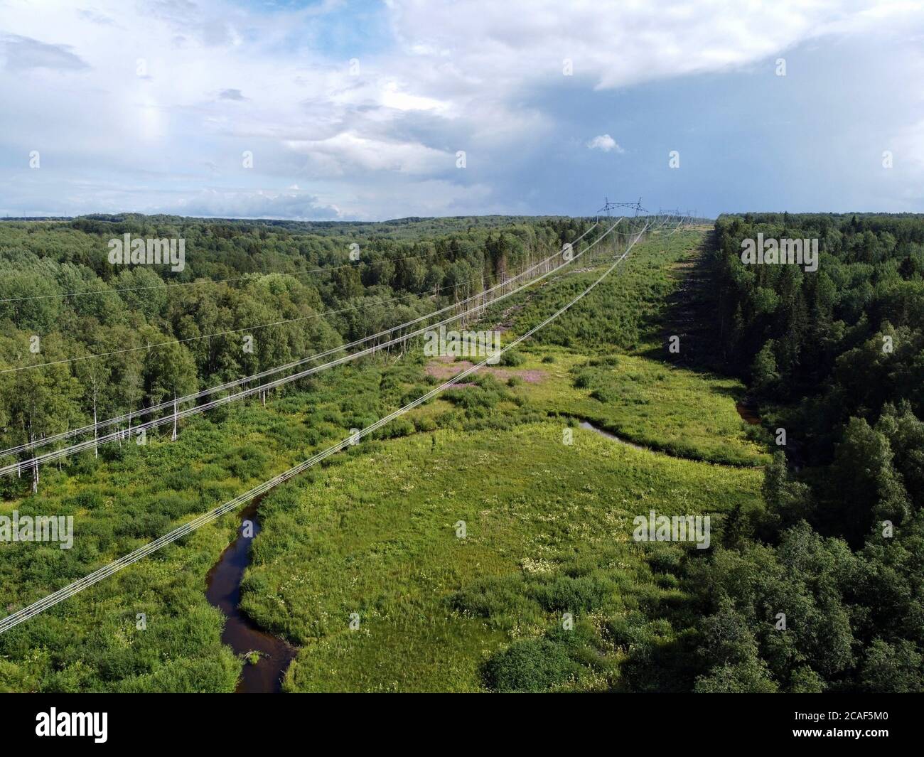 Aerial top down view of the power lines located in the forest Stock ...